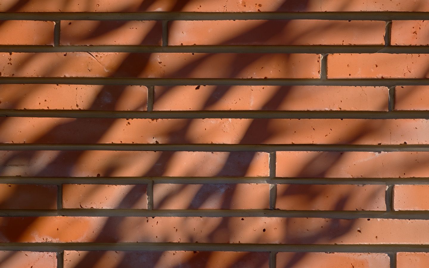 shadows_on_brick.jpg